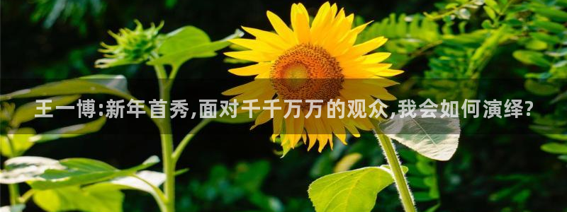24直播网站：王一博:新年首秀,面对千千万万的观众,我会如何演绎?