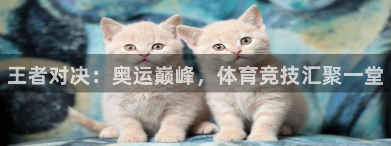 24直播网篮球免费直播：王者对决：奥运巅峰，体育竞技汇聚一堂