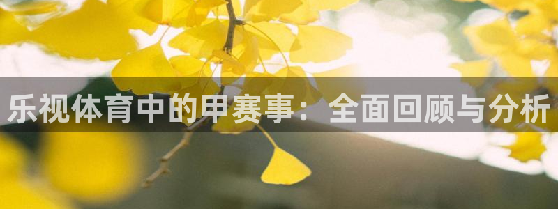 24直播网体育.点击链接.top：乐视体育中的甲赛事：全面回顾与分析