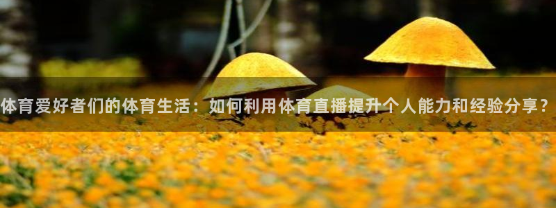 24直播网收费吗：体育爱好者们的体育生活：如何利用体育直播提升个人能力和经验分享？
