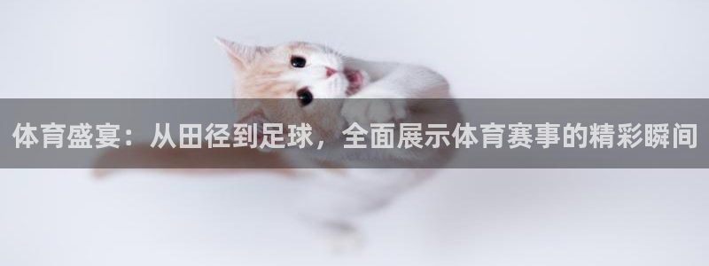 24直播足球直播：体育盛宴：从田径到足球，全面展示体育赛事的精彩瞬间