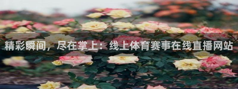24直播网体育直播高清：精彩瞬间，尽在掌上：线上体育赛事在线直播网站