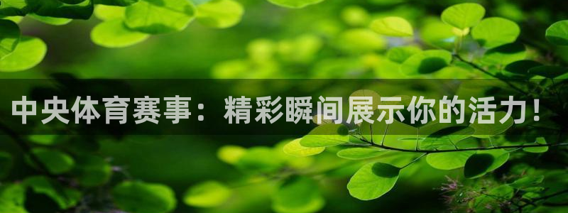 24直播吧nba在线直播：中央体育赛事：精彩瞬间展示你的活力！