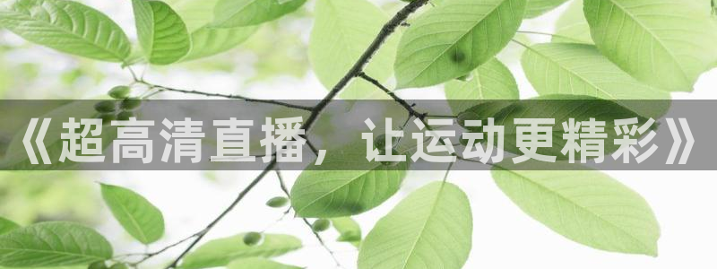 nba直播在线直播24直播：《超高清直播，让运动更精彩》