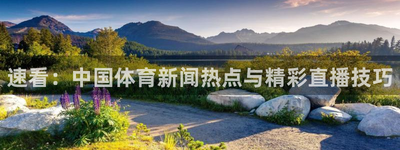 24直播免费足球直播178：速看：中国体育新闻热点与精彩直播技巧