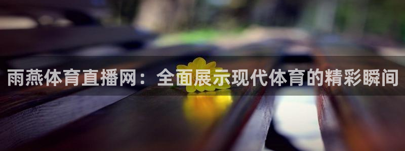 24直播nba免费高清在线观看：雨燕体育直播网：全面展示现代体育的精彩瞬间