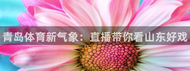 24直播 nba：青岛体育新气象：直播带你看山东好戏