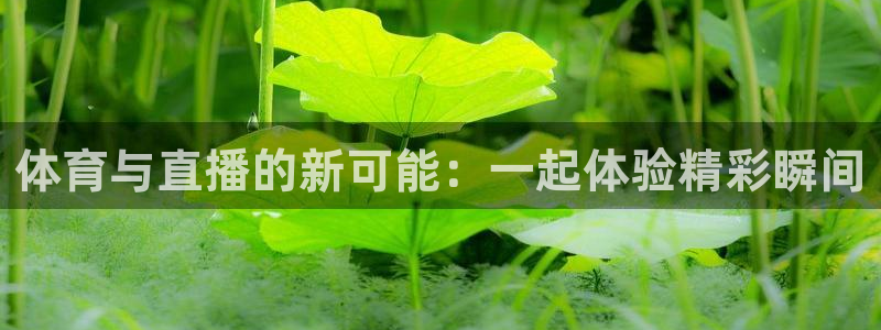 nba在线直播免费观看直播24直播网：体育与直播的新可能：一起体验精彩瞬间