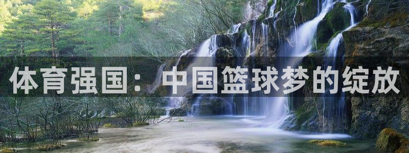 24直播网体育直播：体育强国：中国篮球梦的绽放