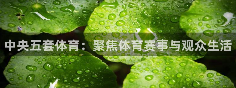 24直播免费足球直播直播：中央五套体育：聚焦体育赛事与观众生活